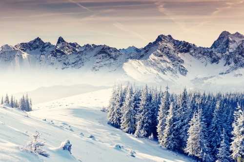 Austria; Komisja Europejska