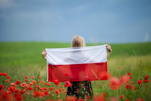Dla upamiętnienia tego wydarzenia Jan Matejko namalował obraz Konstytucja 3 Maja 1791 roku.