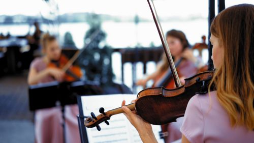 Instrumenty strunowe smyczkowe, instrumenty strunowe szarpane, chordofony smyczkowe