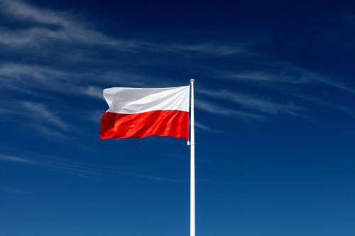 Na swoim obrazie Matejko przedstawił takie postaci jak: Józef Poniatowski, Jan Kiliński (mistrz szewski), Jan Suchorzewski, Kazimierz Nestor Sapieha.