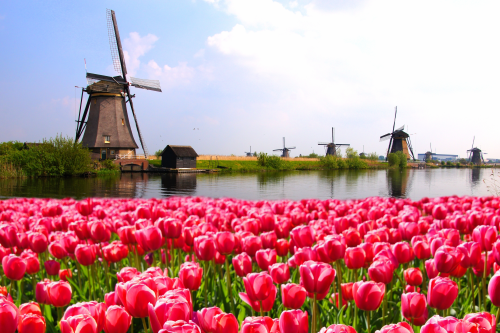 Niderlandy