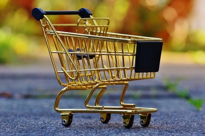 bargain hunter