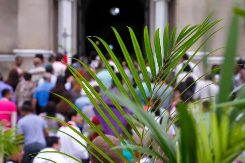 wykonywanie palm wielkanocnych ma w Polsce wielowiekową tradycję
